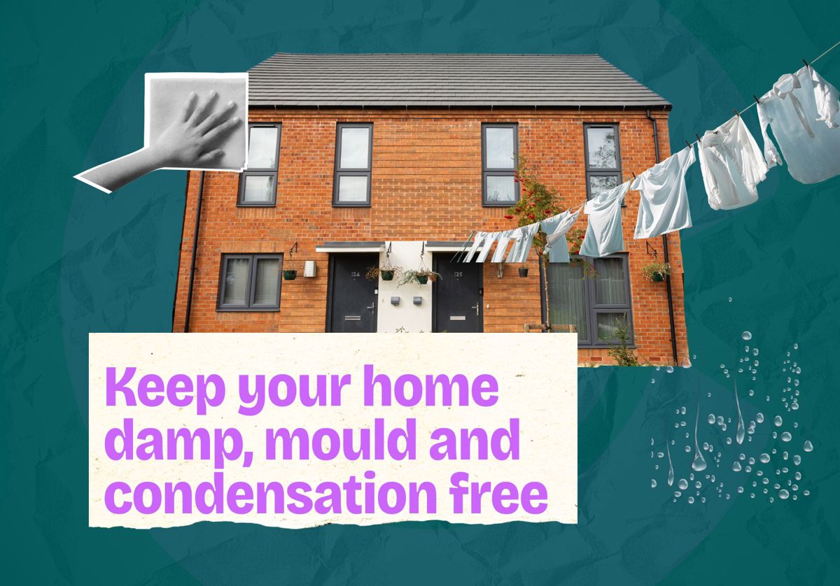 Together Through Winter (1920 X 1350 Px) (2)